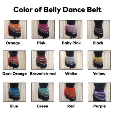 19-01 Women's Belly Dance Hip Belt with Silver Coins