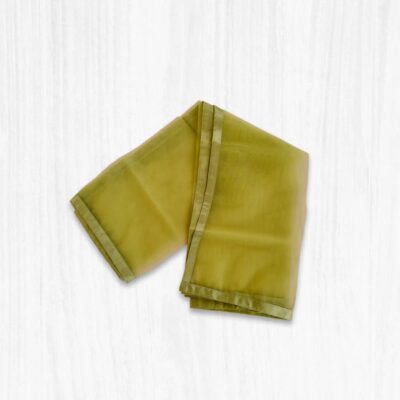 Green net dupatta