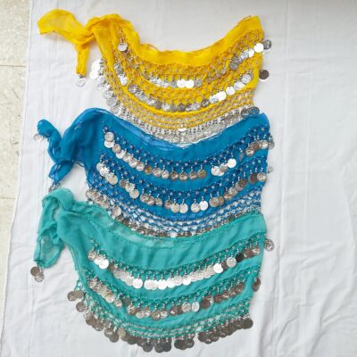 5_a02c7423-26f4-4379-921d-04a9faaf8bd2 Women's Belly Dance Hip Belt with Silver Coins