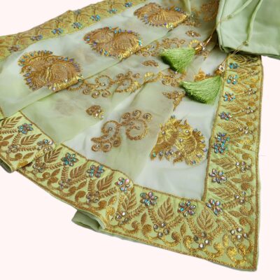 Pistachio One Minute chiffon Saree