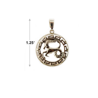 Capricorn (December) Horoscope Pendant