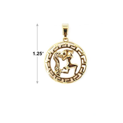 Aquarious (January) Horoscope Pendant