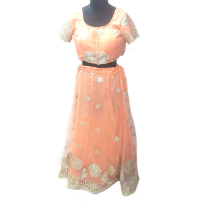 Lehenga/ Skirt blouse