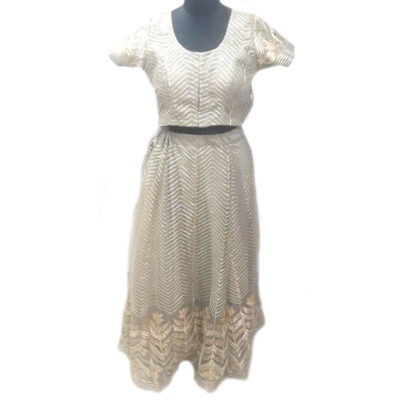 Lehenga/ Skirt blouse