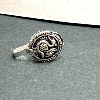 Silver Nose jewelry