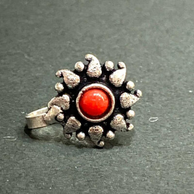 Silver Nose jewelry piercings