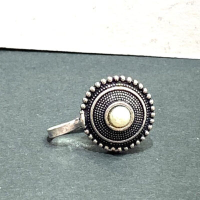 Silver Nose jewelry piercings